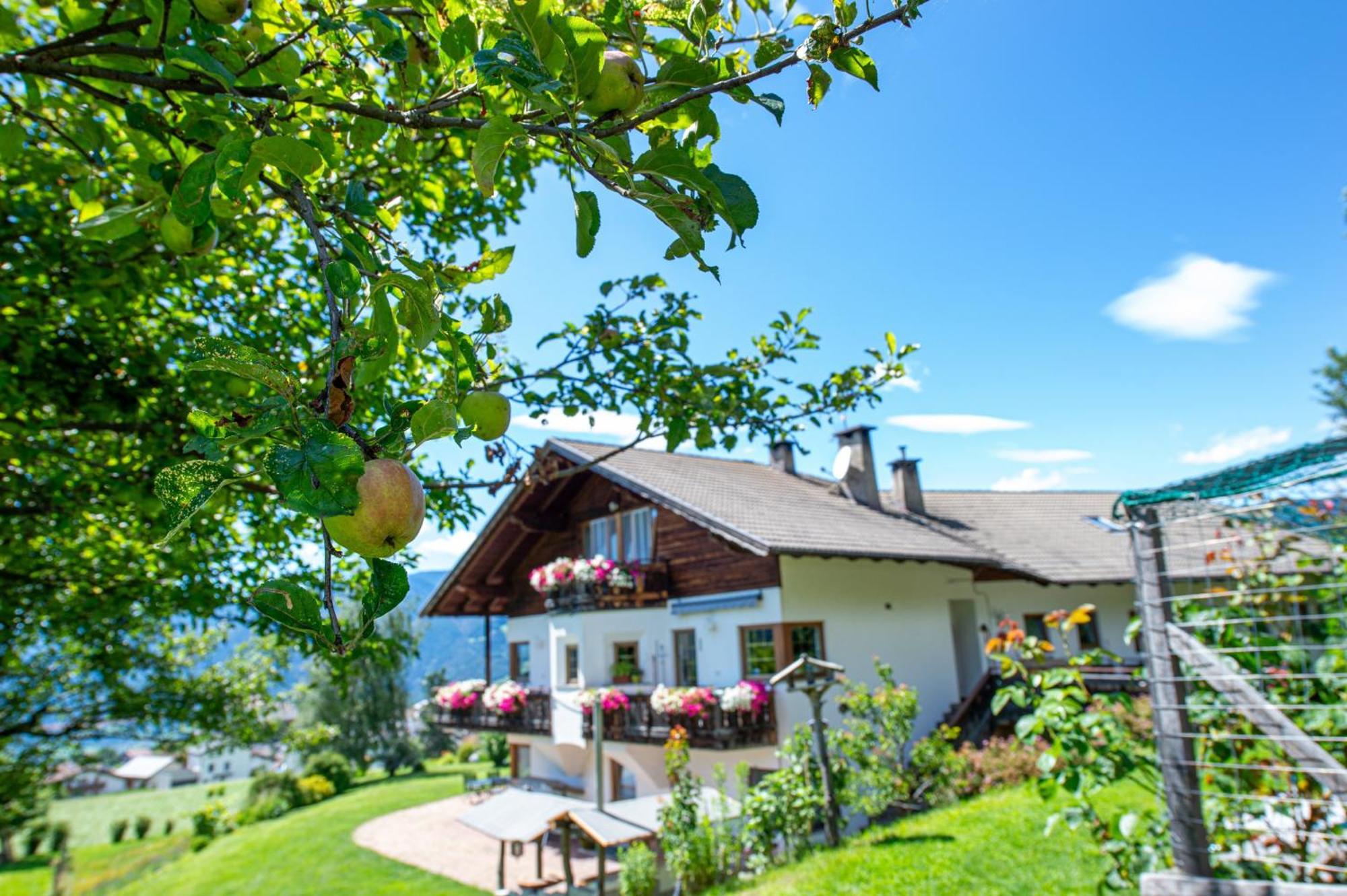 Bonichhof Hotel Лайон Екстериор снимка
